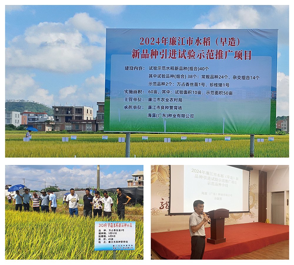 俄罗斯专享会294·VIP(中国区)官方网站