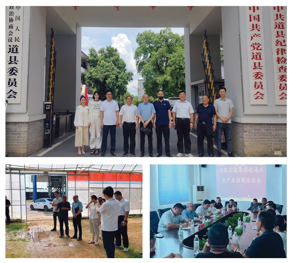 俄罗斯专享会294·VIP(中国区)官方网站