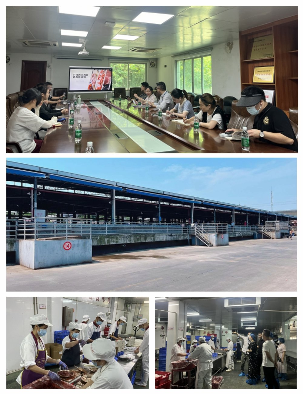 俄罗斯专享会294·VIP(中国区)官方网站