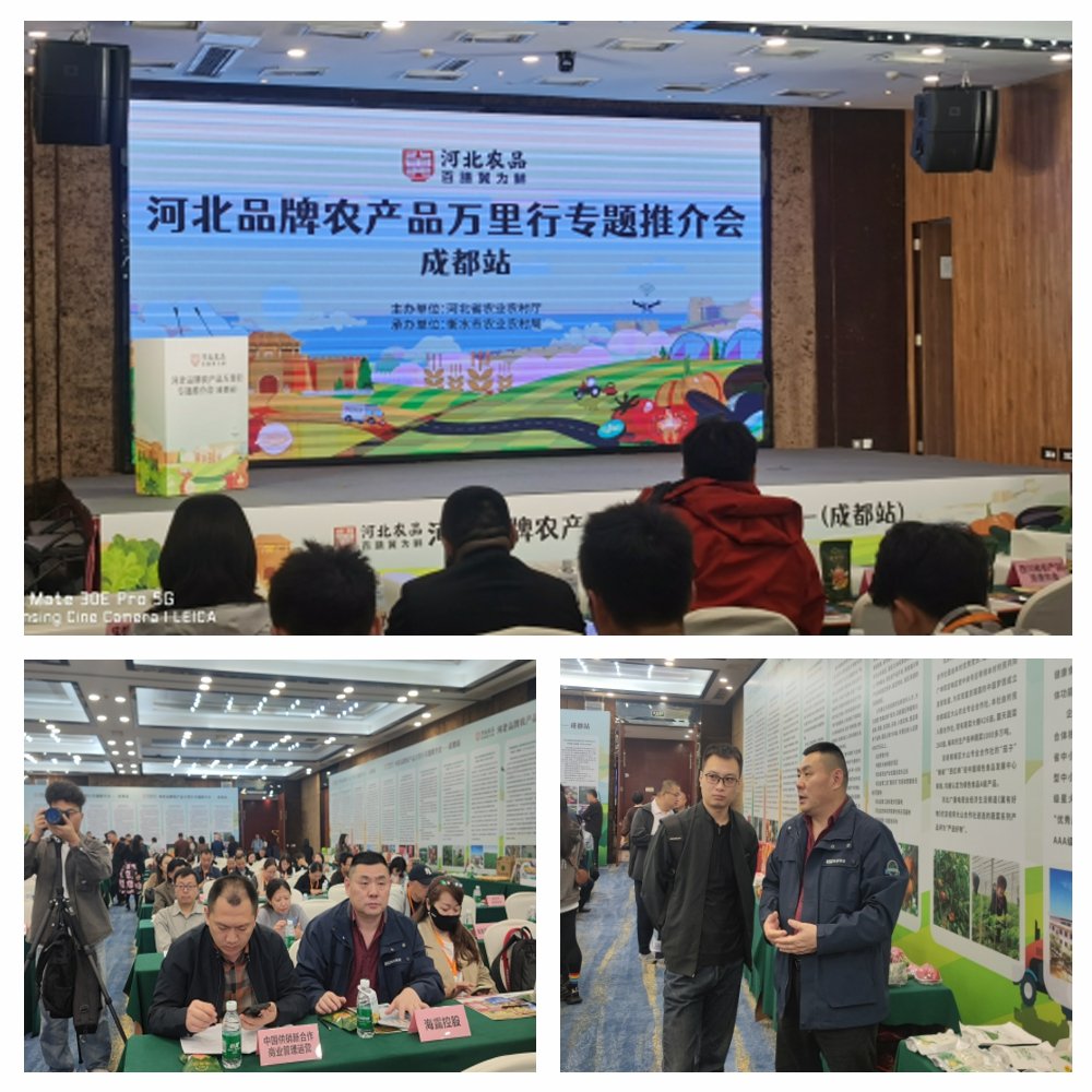 俄罗斯专享会294·VIP(中国区)官方网站