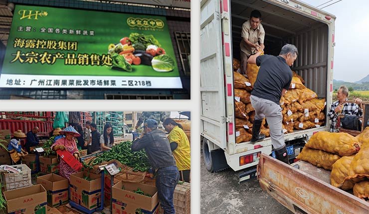 俄罗斯专享会294·VIP(中国区)官方网站