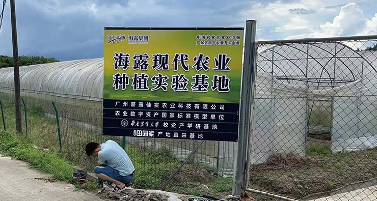 俄罗斯专享会294·VIP(中国区)官方网站