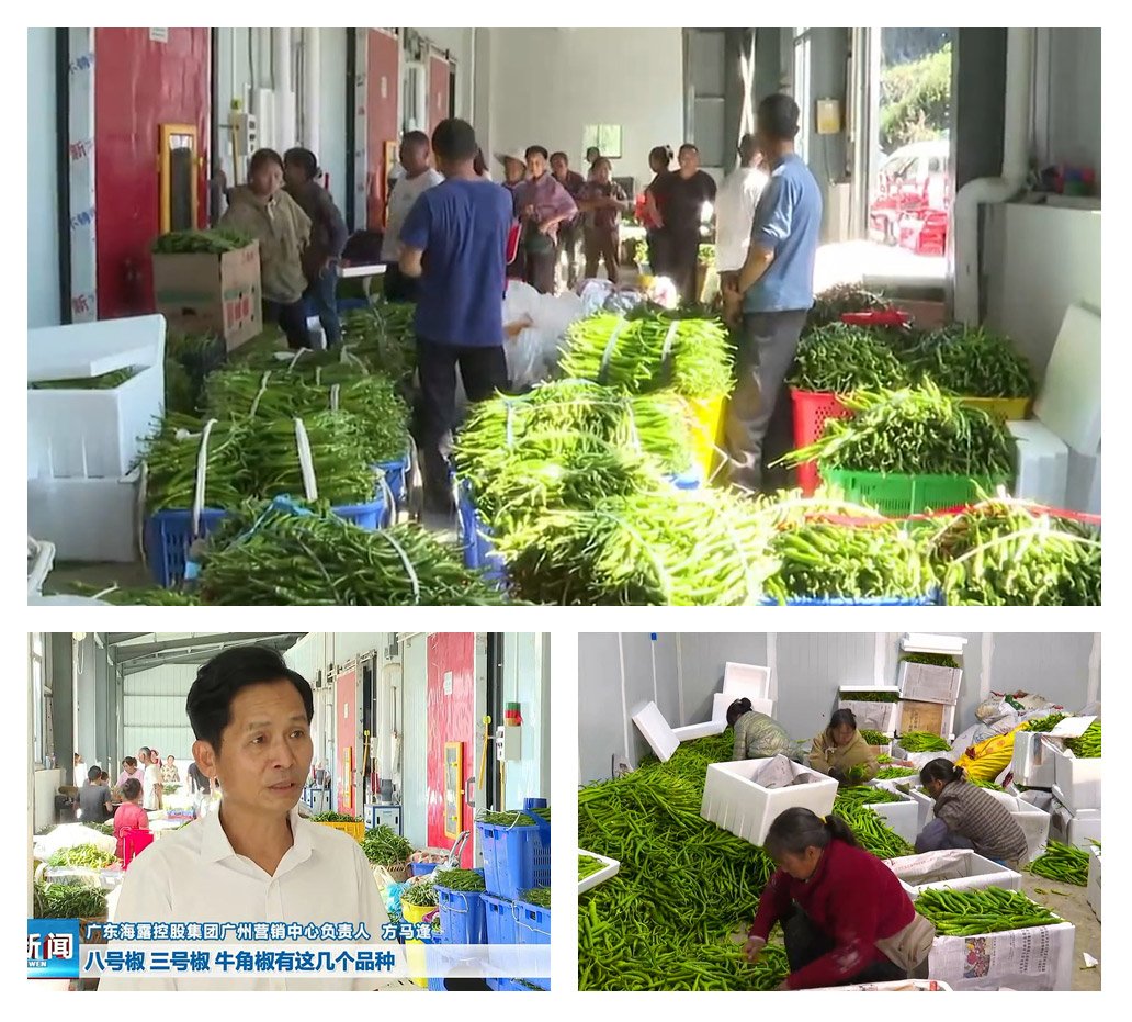 俄罗斯专享会294·VIP(中国区)官方网站