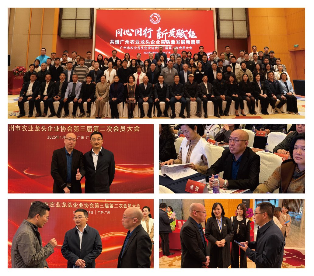 俄罗斯专享会294·VIP(中国区)官方网站