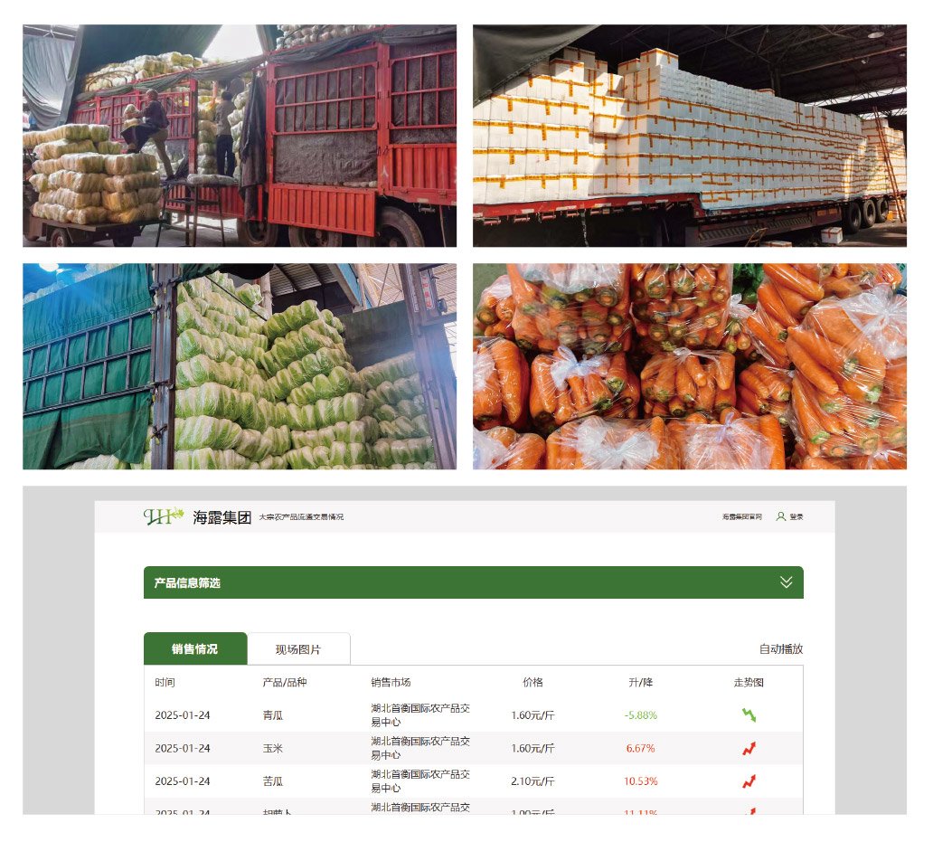 俄罗斯专享会294·VIP(中国区)官方网站