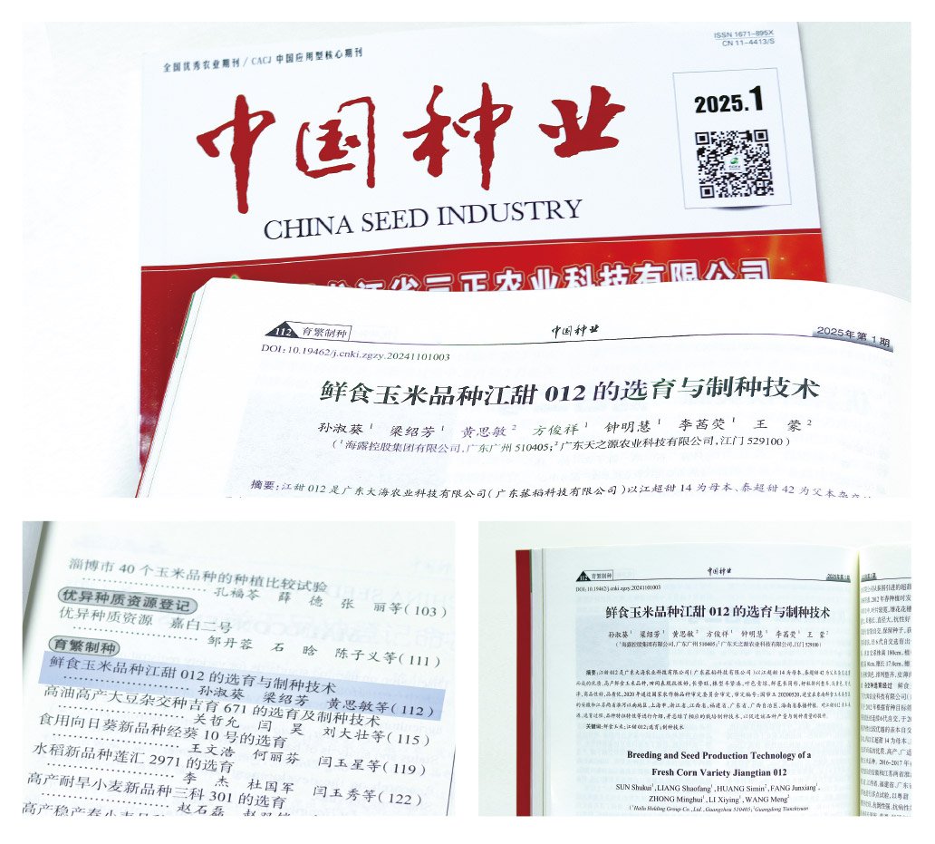 俄罗斯专享会294·VIP(中国区)官方网站