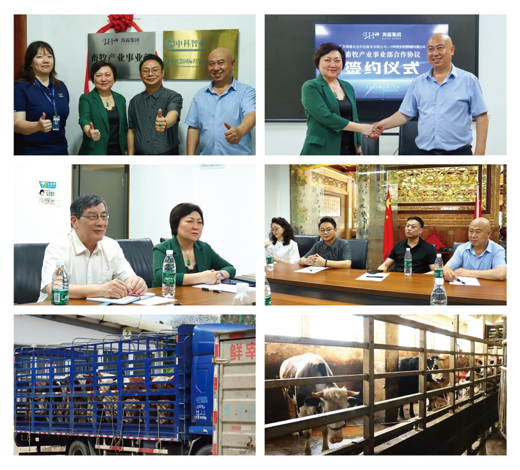 俄罗斯专享会294·VIP(中国区)官方网站