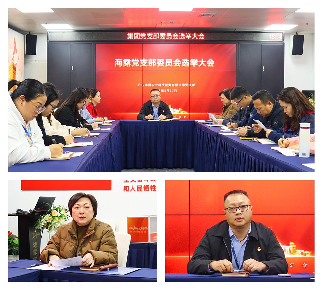 俄罗斯专享会294·VIP(中国区)官方网站