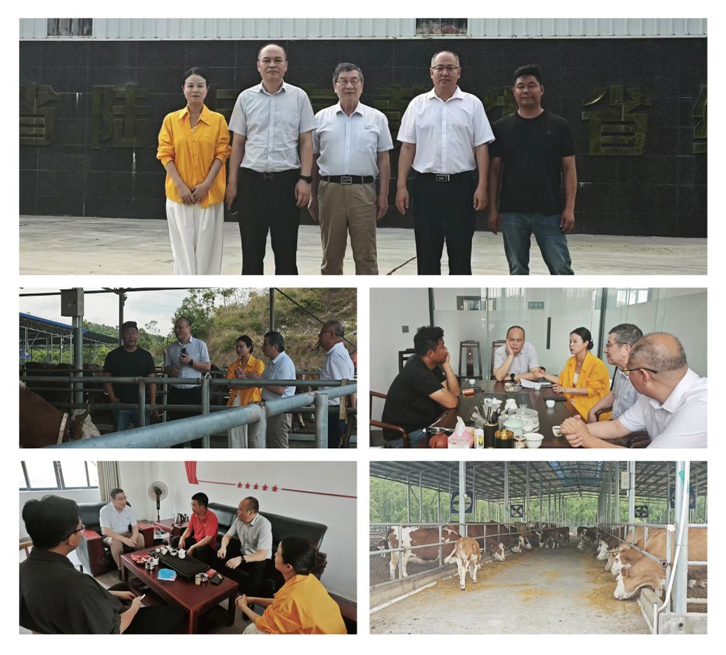 俄罗斯专享会294·VIP(中国区)官方网站