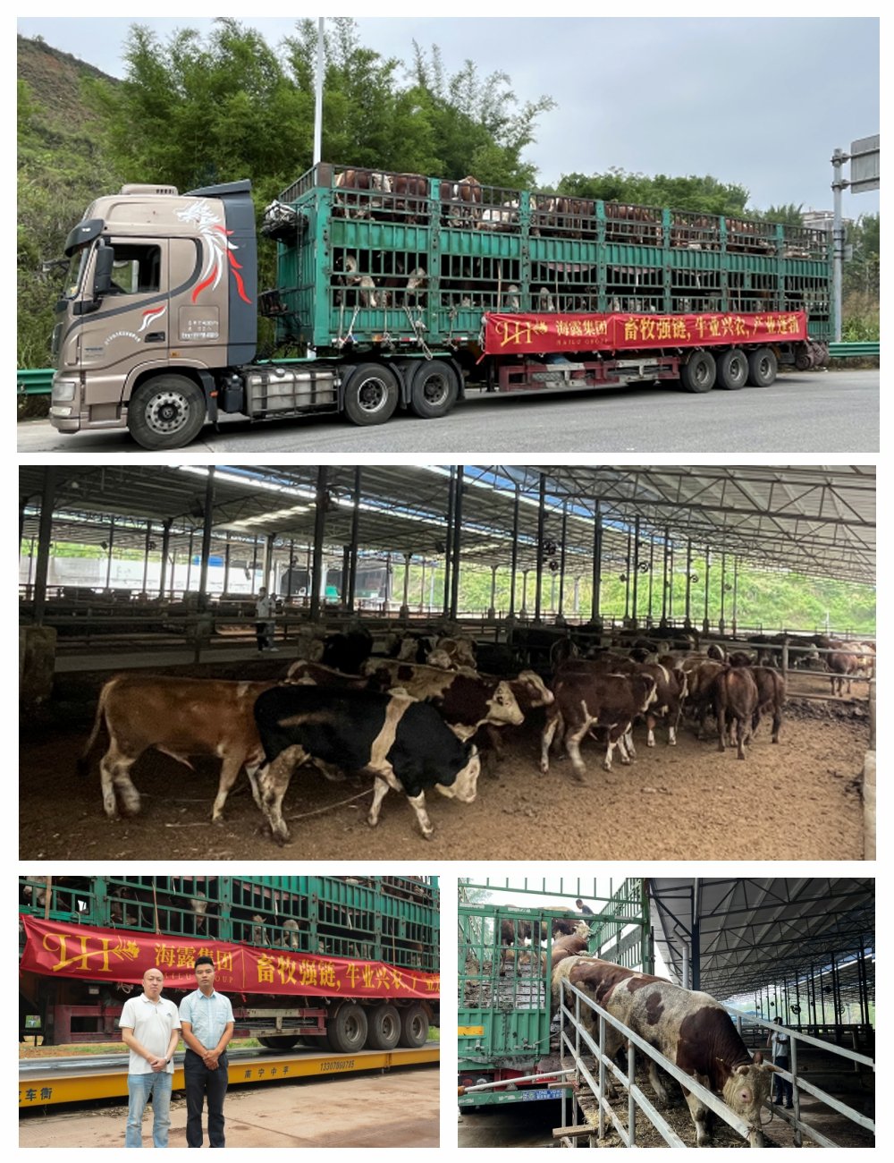 俄罗斯专享会294·VIP(中国区)官方网站