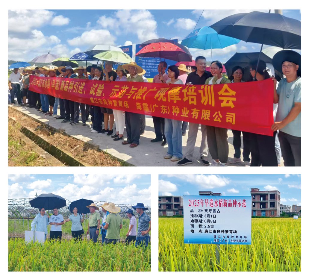 俄罗斯专享会294·VIP(中国区)官方网站