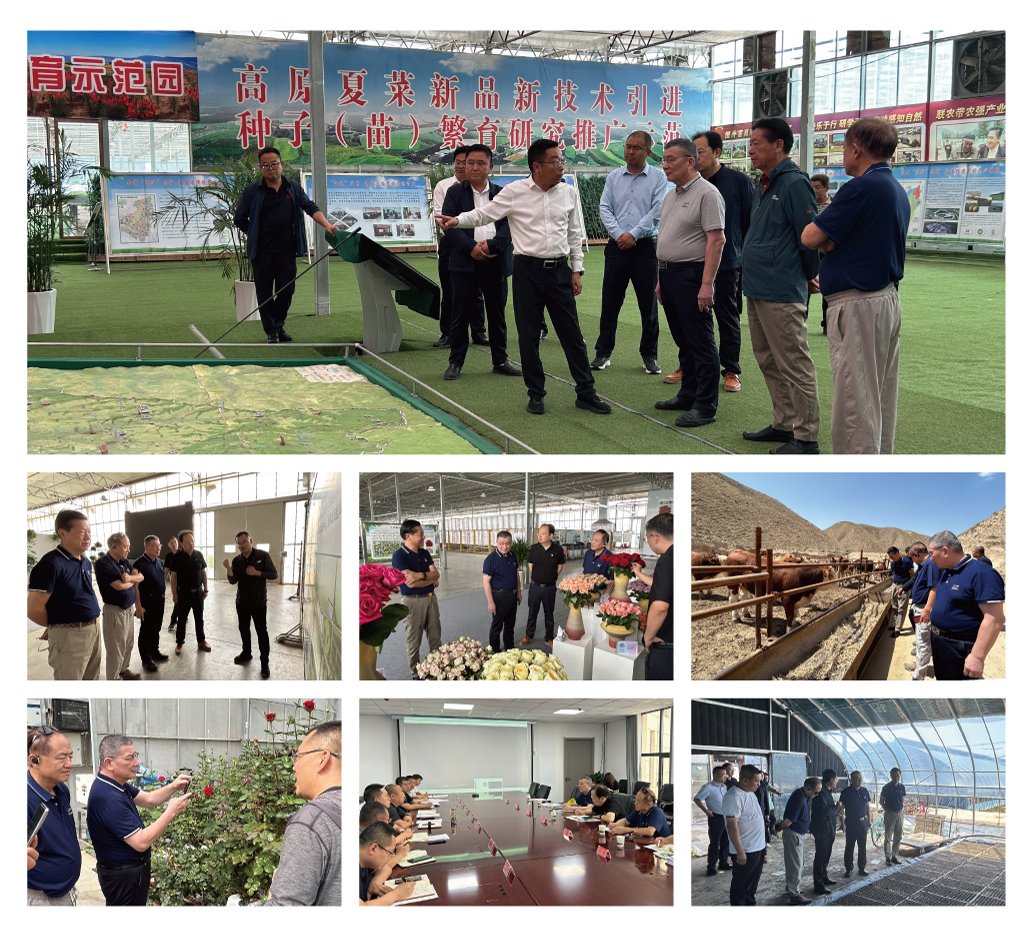 俄罗斯专享会294·VIP(中国区)官方网站