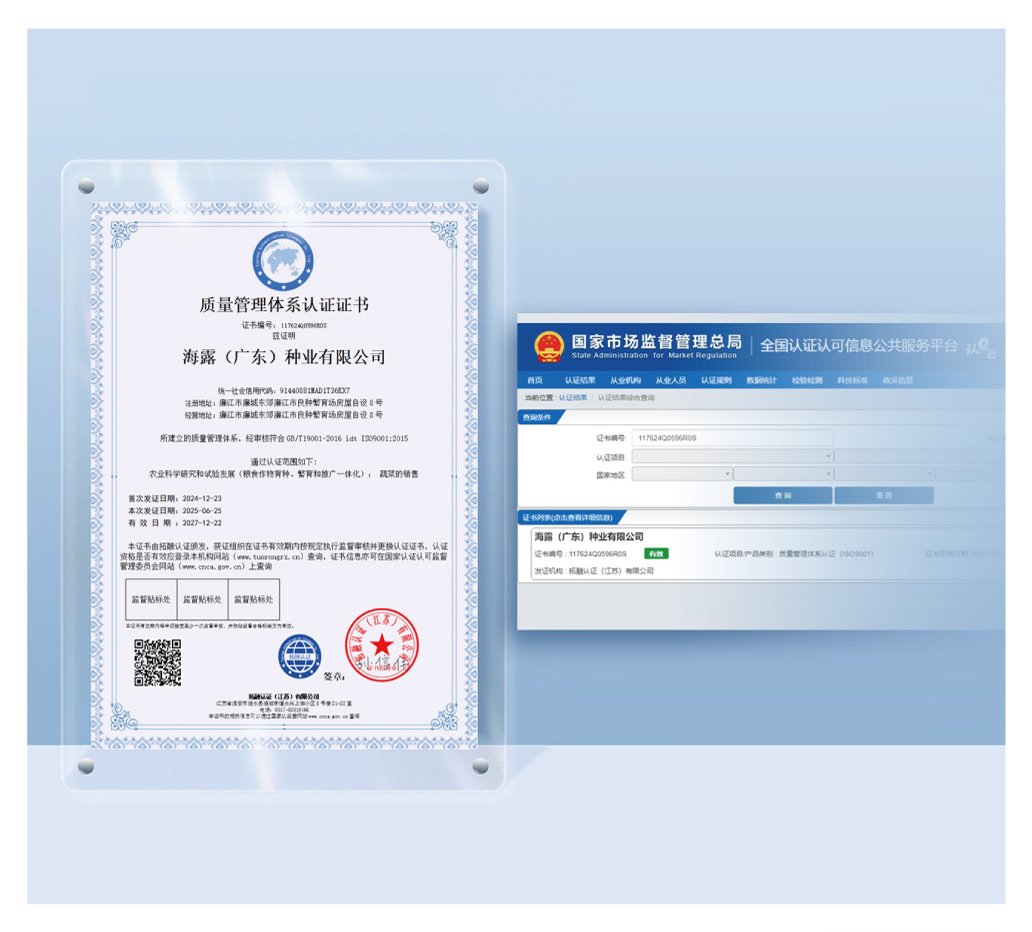 俄罗斯专享会294·VIP(中国区)官方网站