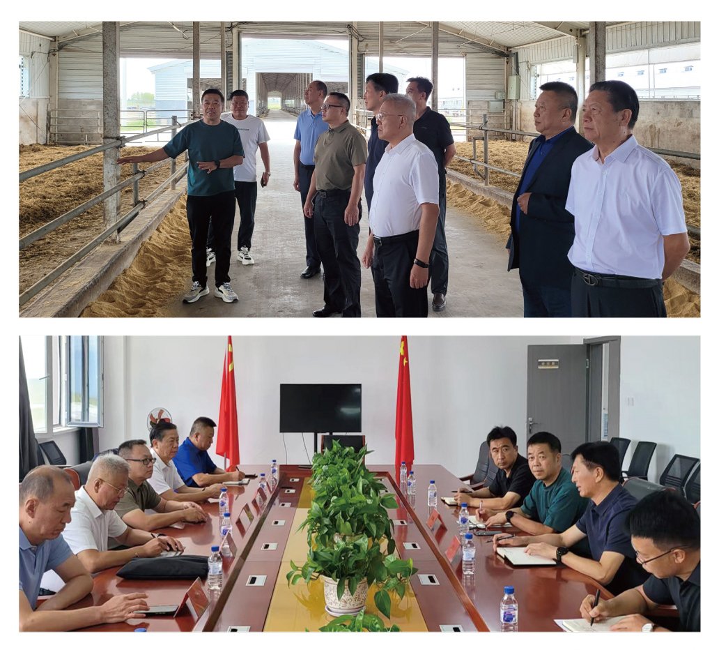 俄罗斯专享会294·VIP(中国区)官方网站