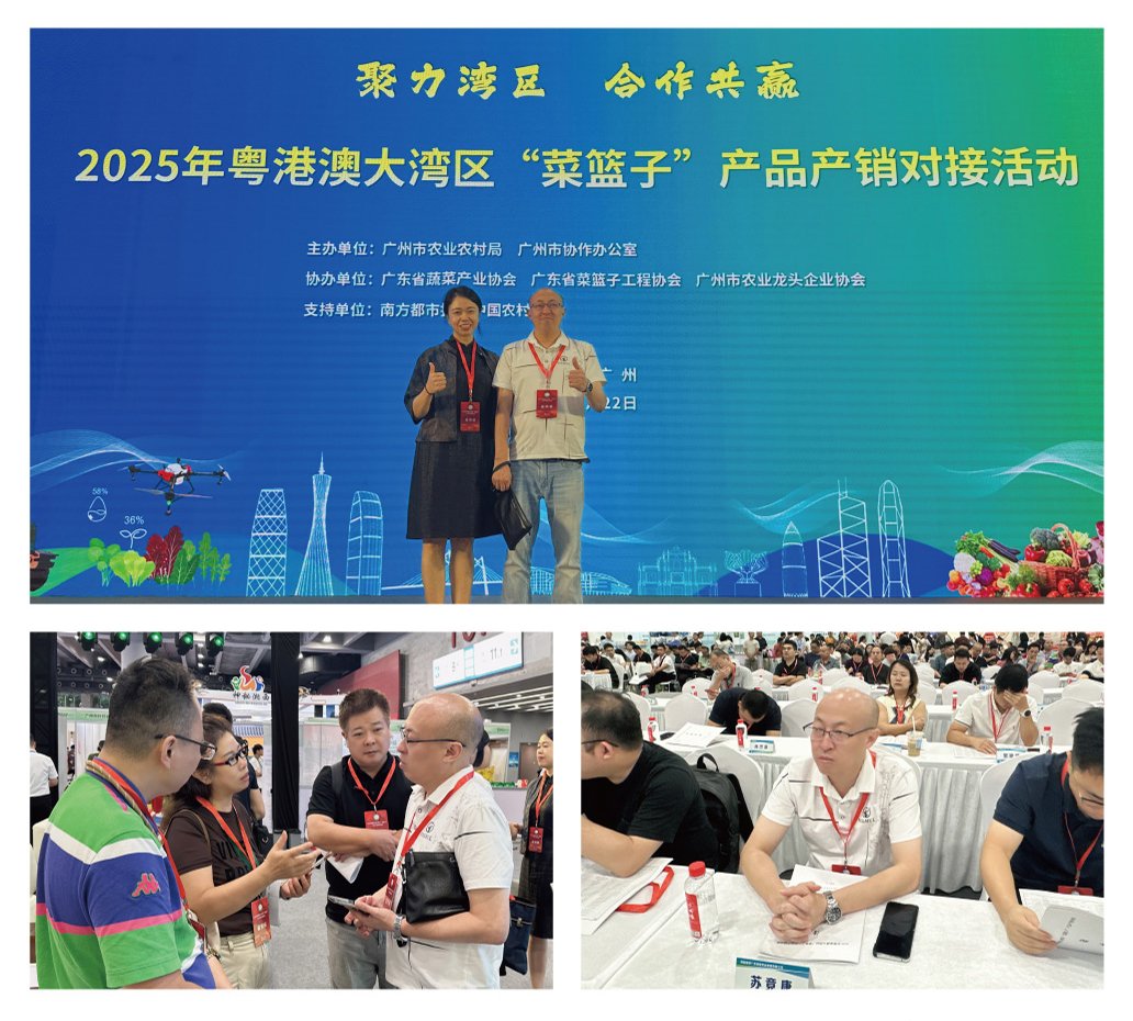 俄罗斯专享会294·VIP(中国区)官方网站