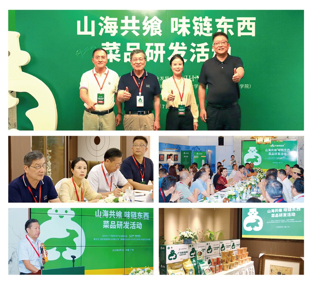 俄罗斯专享会294·VIP(中国区)官方网站