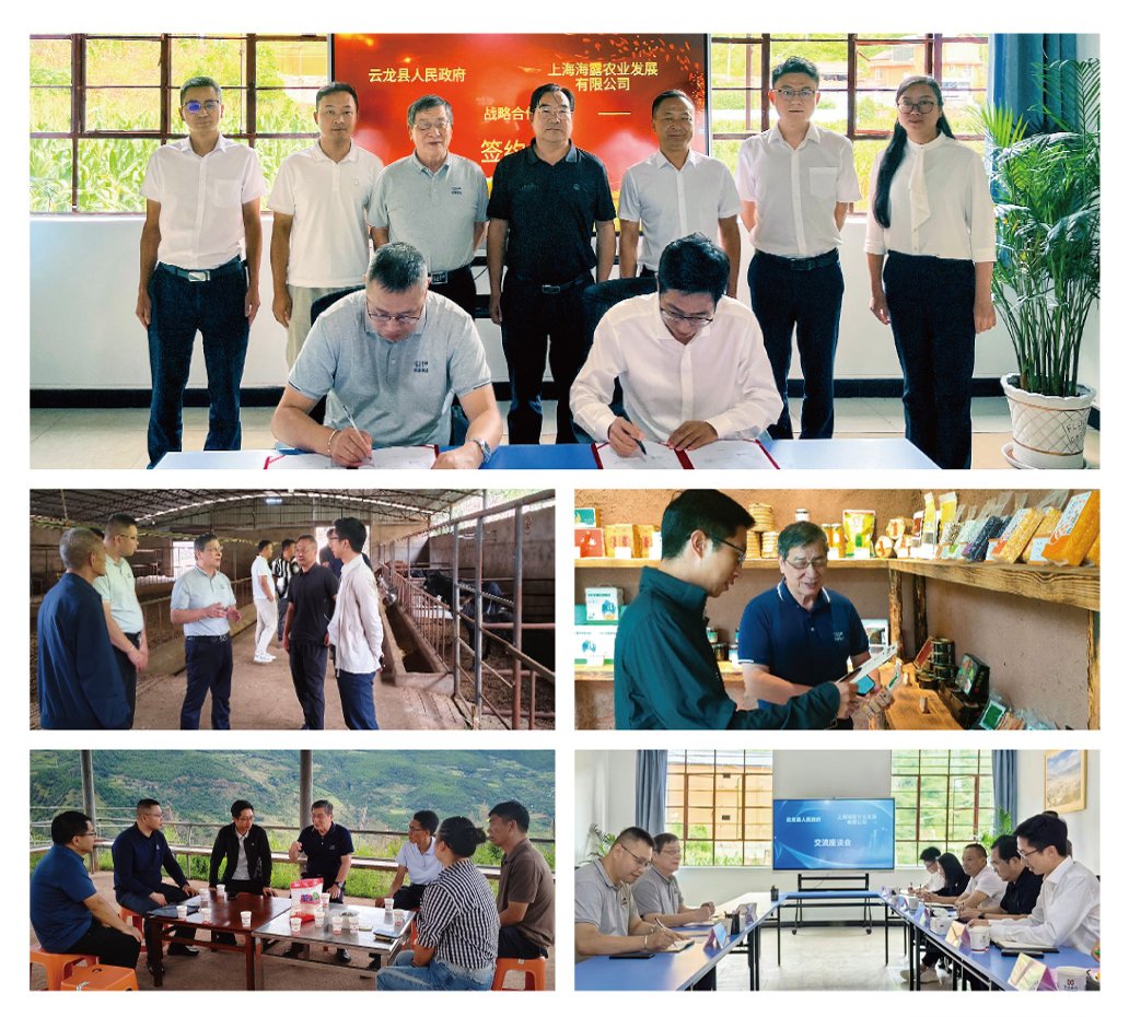 俄罗斯专享会294·VIP(中国区)官方网站