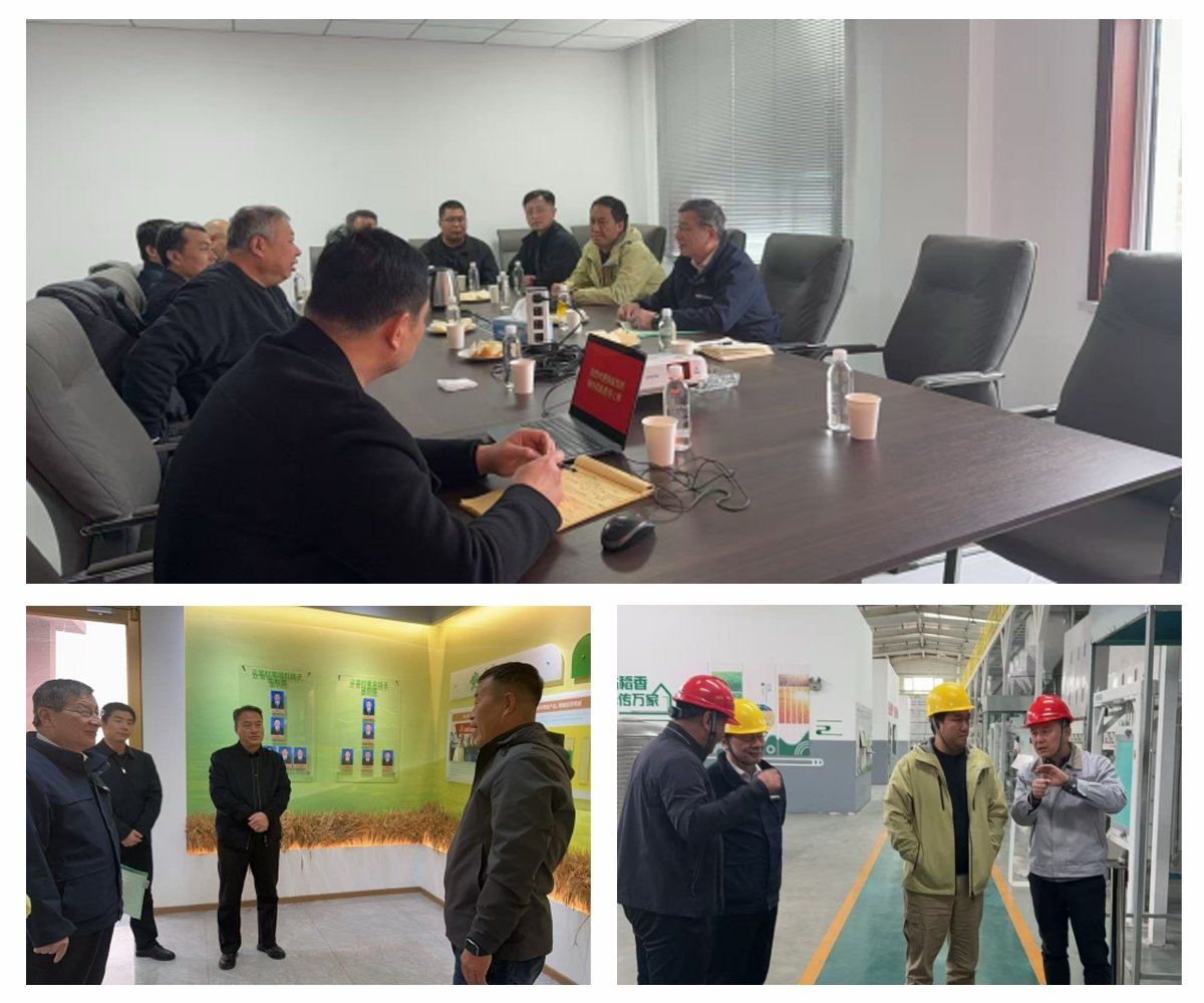 俄罗斯专享会294·VIP(中国区)官方网站