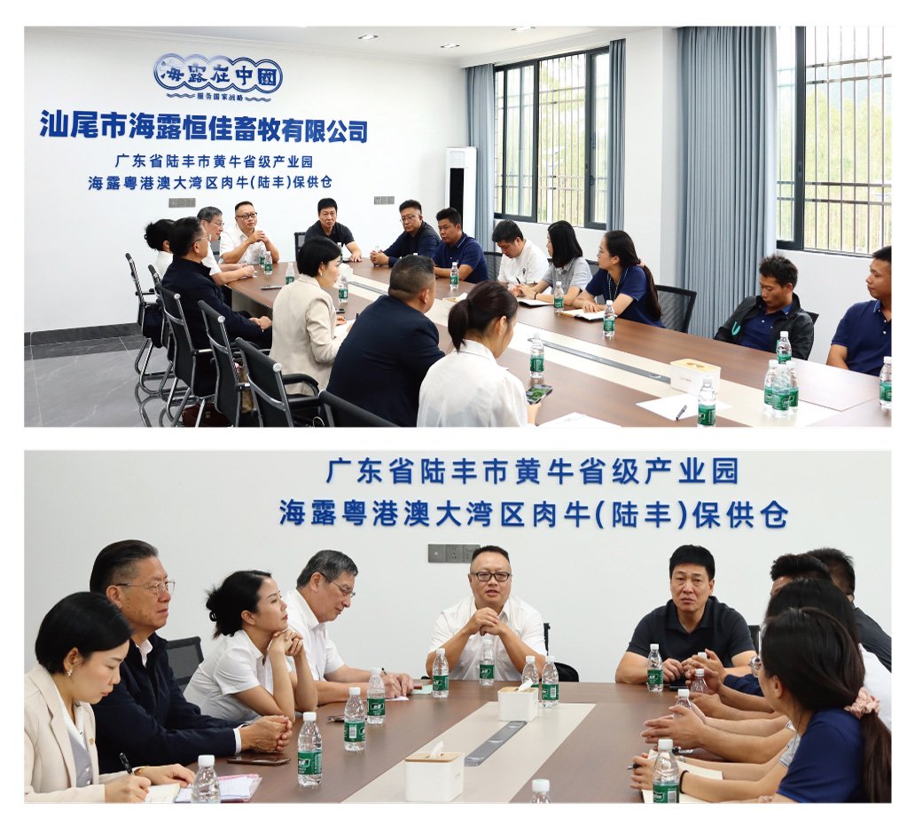 俄罗斯专享会294·VIP(中国区)官方网站