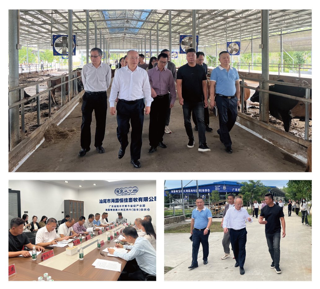 俄罗斯专享会294·VIP(中国区)官方网站