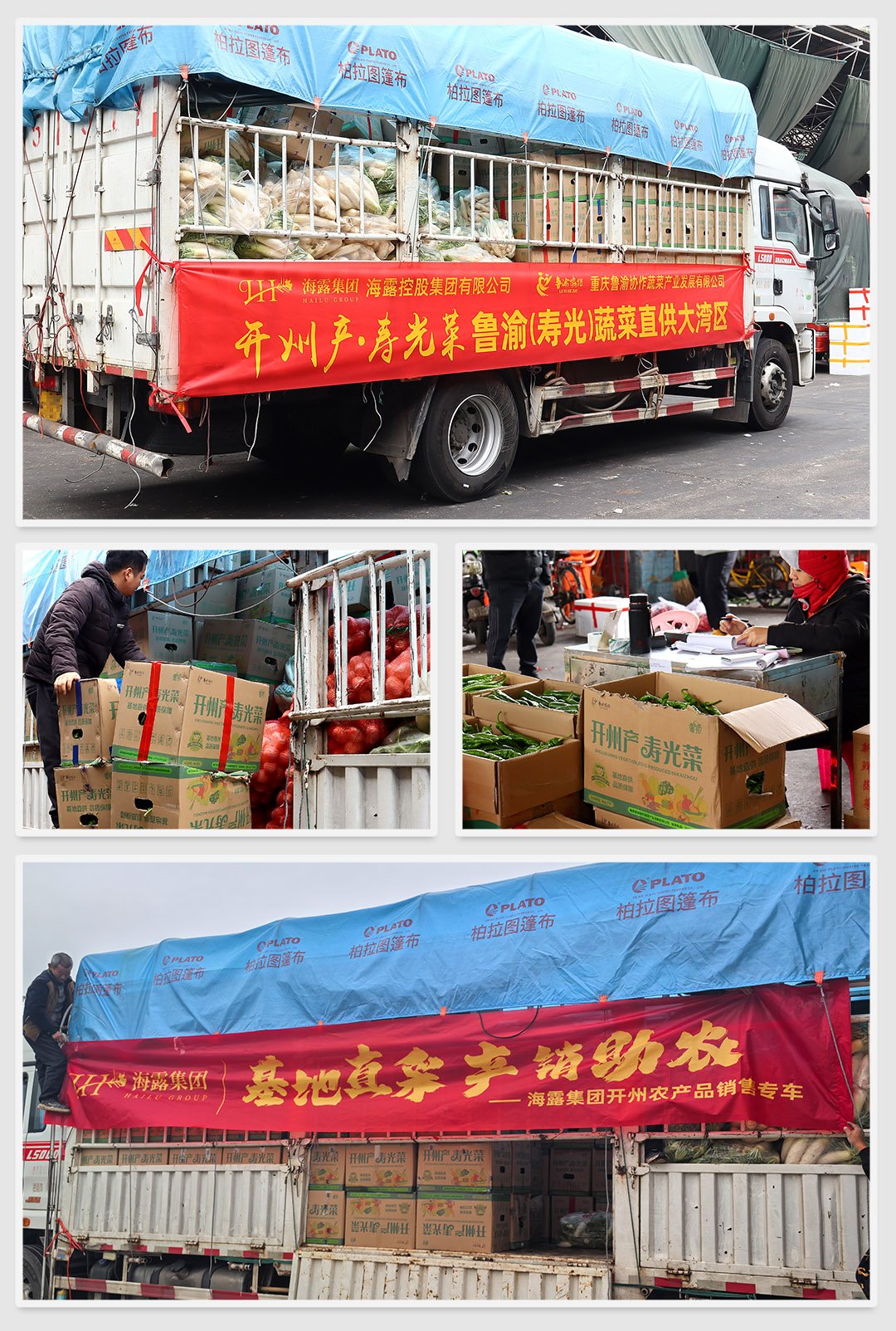 俄罗斯专享会294·VIP(中国区)官方网站